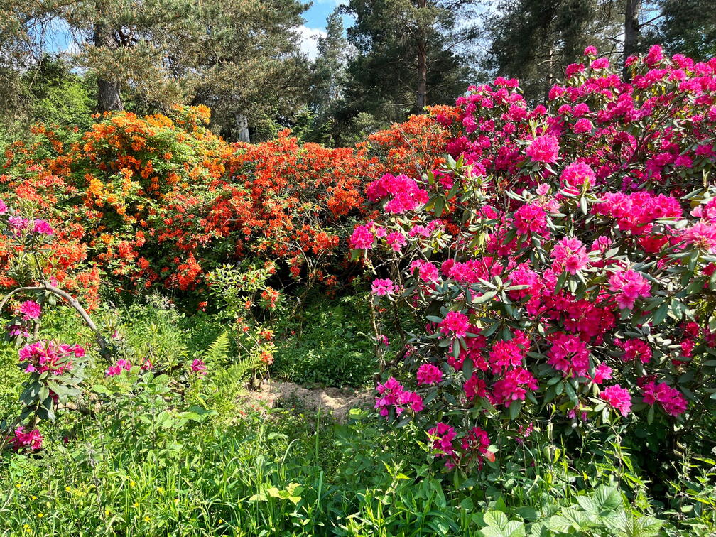 23-06-03 16-33-05 5780